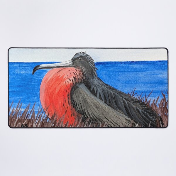 Item preview, Magnificent frigatebird on the coast  designed and sold by Matt Starr Fine Art .