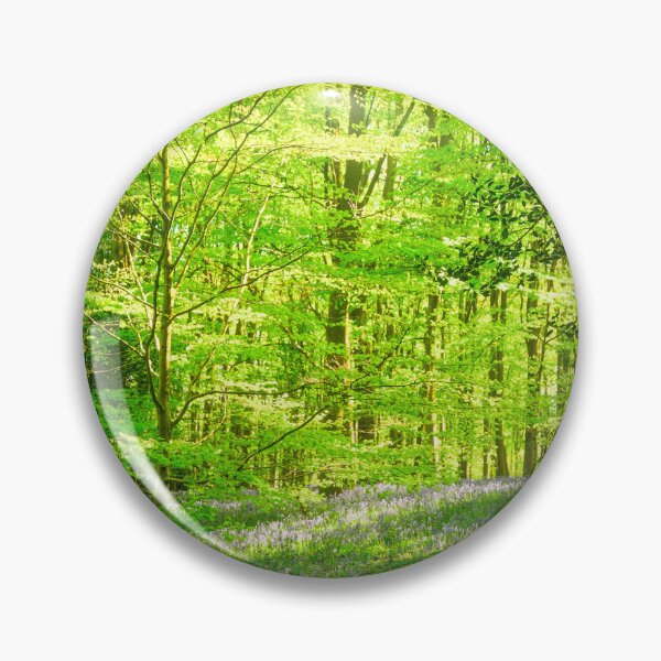Item preview, Bluebell Wood Sunlight and Shadows designed and sold by Jim Key.
