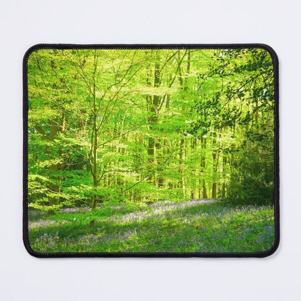 Item preview, Bluebell Wood Sunlight and Shadows designed and sold by Jim Key.