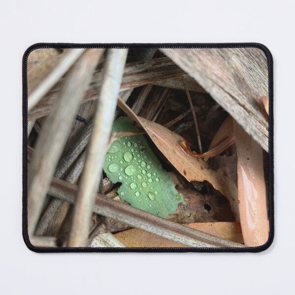 Item preview, Green leaf designed and sold by Burrow101.