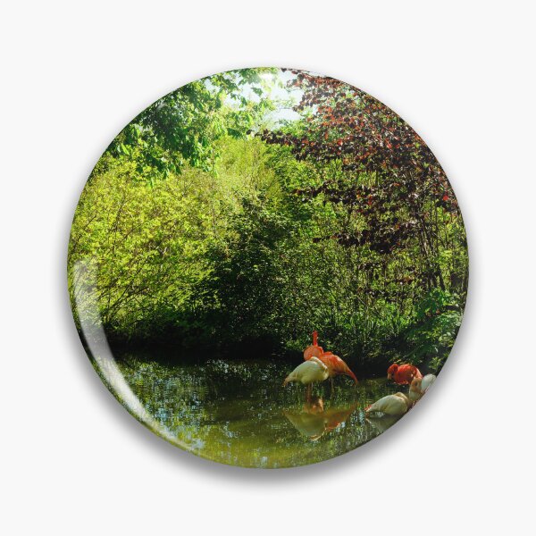 Item preview, Flamingos in a pond designed and sold by Jim Key.