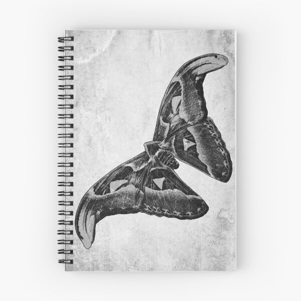 Item preview, Atlas Moth Dark Gothic Entomology Specimen Art designed and sold by Ghoul Enterprises.