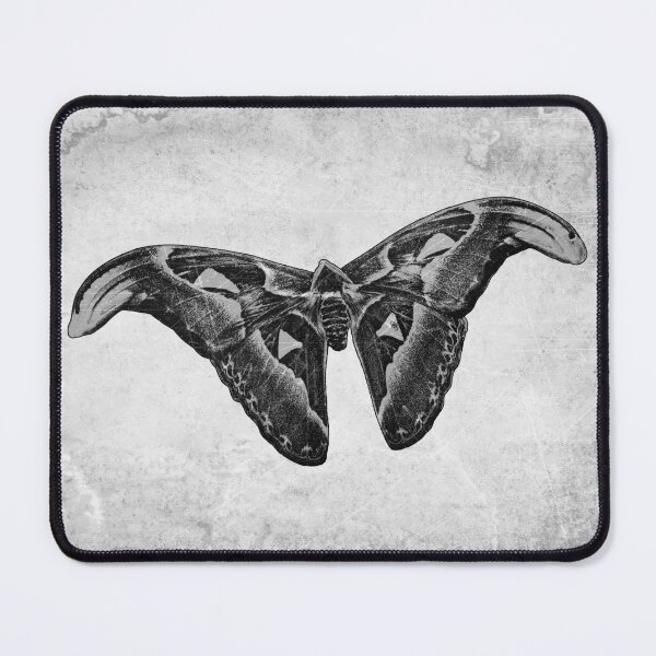 Item preview, Atlas Moth Dark Gothic Entomology Specimen Art designed and sold by Ghoul Enterprises.