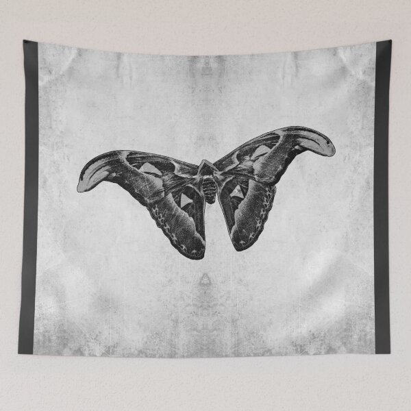 Item preview, Atlas Moth Dark Gothic Entomology Specimen Art designed and sold by Ghoul Enterprises.