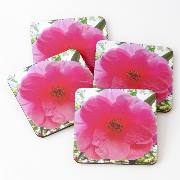Item preview, Pink Camellia designed and sold by Ross.A.Campbell.