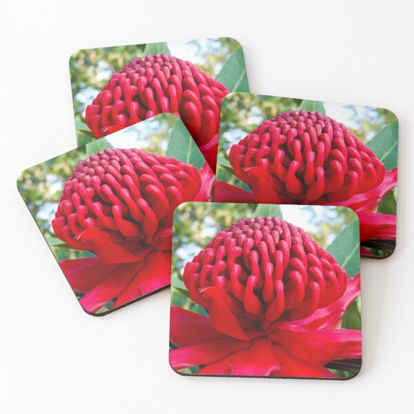 Item preview, Waratah designed and sold by Ross.A.Campbell.