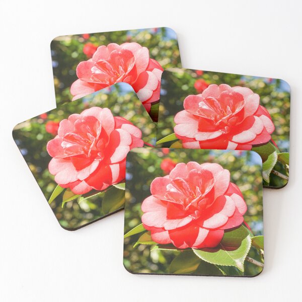 Item preview, Pink Camellia designed and sold by Ross.A.Campbell.