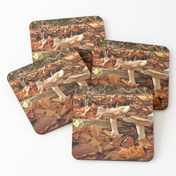 Item preview, Beautiful mushrooms in forest designed and sold by AsahiNoAme.