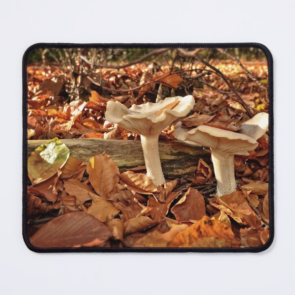 Item preview, Beautiful mushrooms in forest designed and sold by AsahiNoAme.