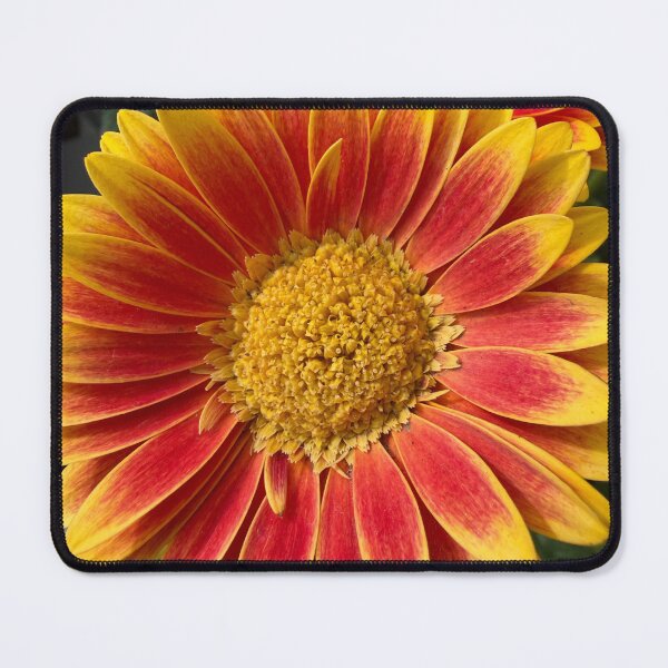 Item preview, Sunshine in a Flower designed and sold by Betsy Phillips.