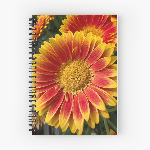 Item preview, Sunshine in a Flower designed and sold by Betsy Phillips.