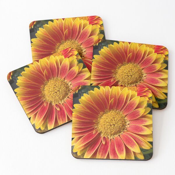 Item preview, Sunshine in a Flower designed and sold by Betsy Phillips.