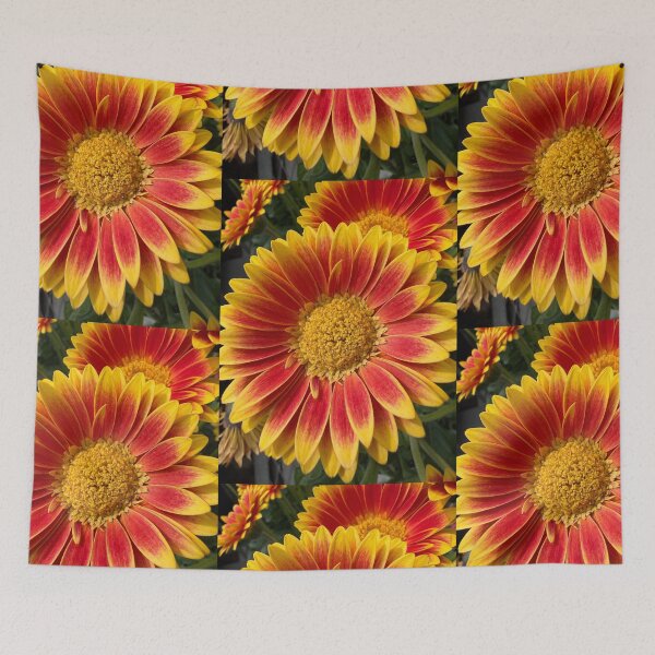 Item preview, Sunshine in a Flower designed and sold by Betsy Phillips.