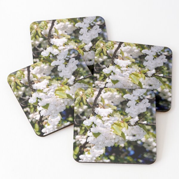 Item preview, apple blossom Edinburgh 6 designed and sold by Photogold Photo Gifts.