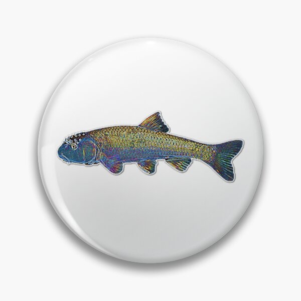 Item preview, Neon bluehead chub designed and sold by FergFish.