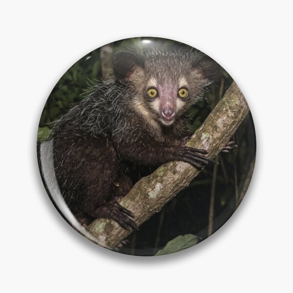Item preview, Aye-aye in a tree in the middle of the night designed and sold by Malisa345.