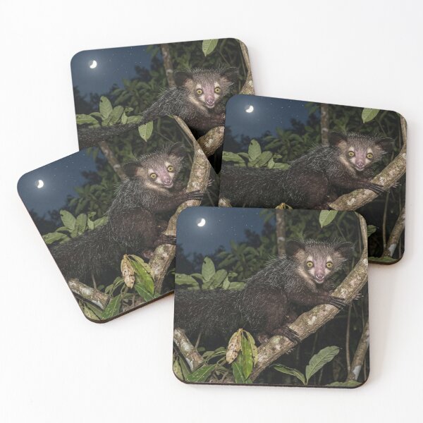 Item preview, Aye-aye in a tree in the middle of the night designed and sold by Malisa345.
