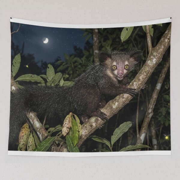 Item preview, Aye-aye in a tree in the middle of the night designed and sold by Malisa345.