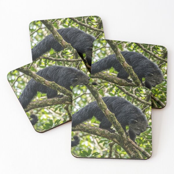 Item preview, Binturong in the branches designed and sold by Malisa345.