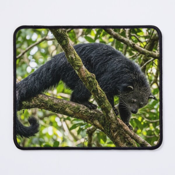 Item preview, Binturong in the branches designed and sold by Malisa345.