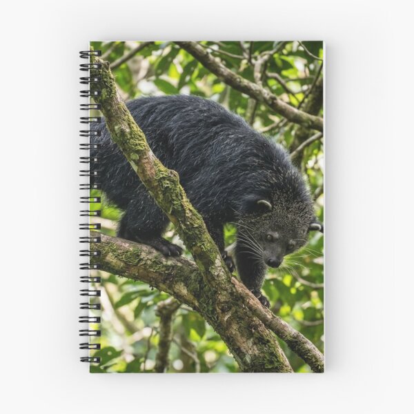 Item preview, Binturong in the branches designed and sold by Malisa345.