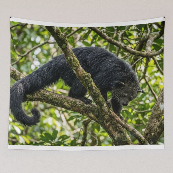 Item preview, Binturong in the branches designed and sold by Malisa345.