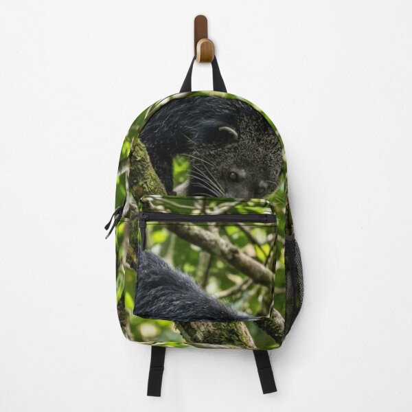 Item preview, Binturong in the branches designed and sold by Malisa345.