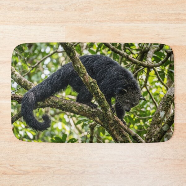Item preview, Binturong in the branches designed and sold by Malisa345.