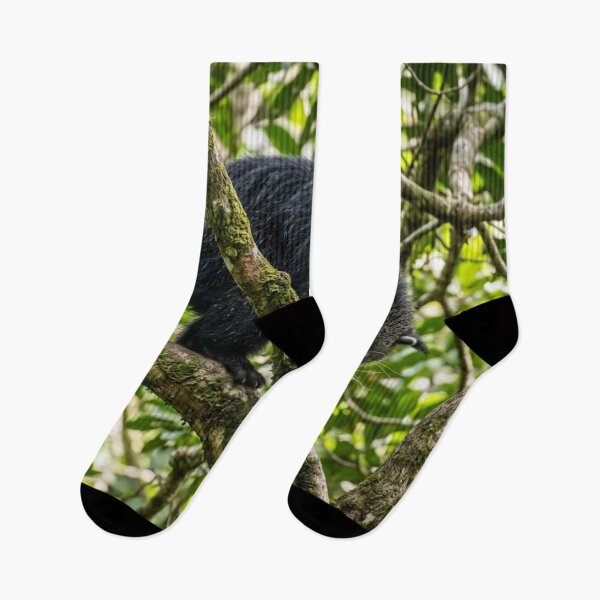 Item preview, Binturong in the branches designed and sold by Malisa345.