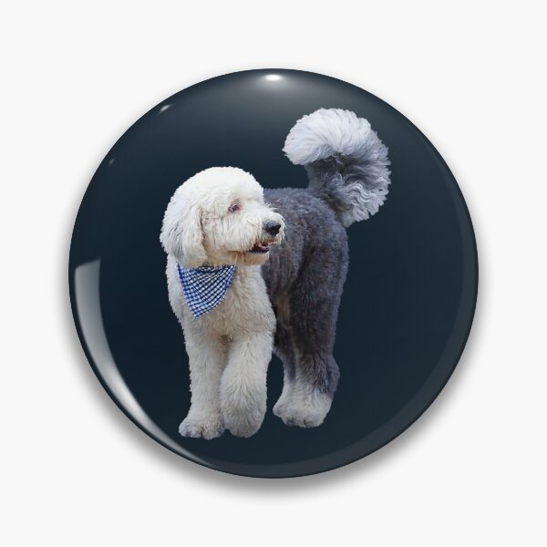 Item preview, Sheepadoodle With Blue Scarf designed and sold by Susan Savad.