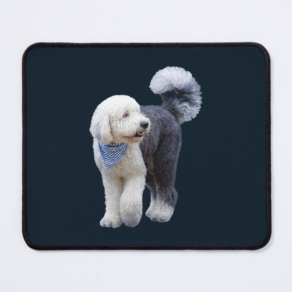 Item preview, Sheepadoodle With Blue Scarf designed and sold by Susan Savad.