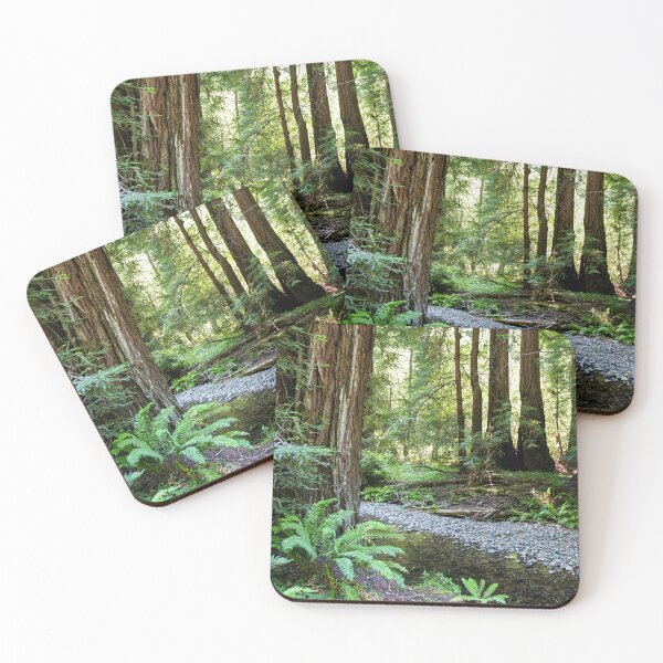 Item preview, Muir Woods National Monument, Mill Valley, California, USA designed and sold by Ross.A.Campbell.