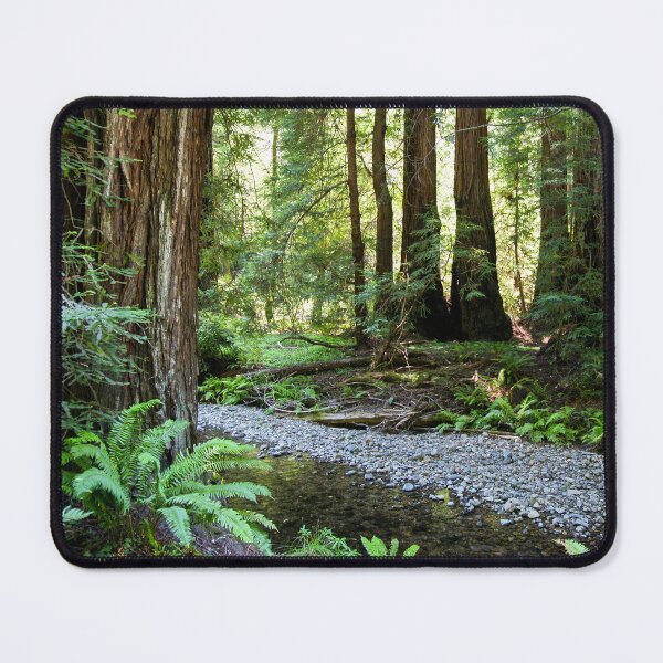 Item preview, Muir Woods National Monument, Mill Valley, California, USA designed and sold by Ross.A.Campbell.