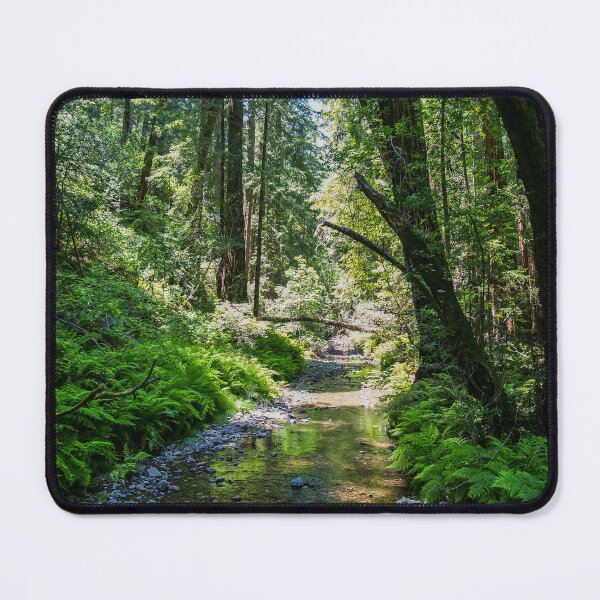 Item preview, Muir Woods National Monument, Mill Valley, California, USA designed and sold by Ross.A.Campbell.