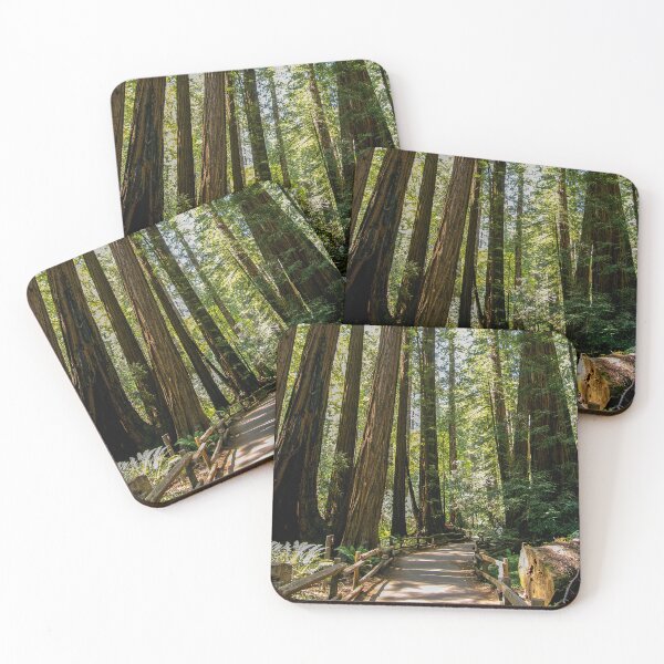 Item preview, Muir Woods National Monument, Mill Valley, California, USA designed and sold by Ross.A.Campbell.