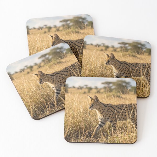 Item preview, Serval in the tall grass designed and sold by Malisa345.