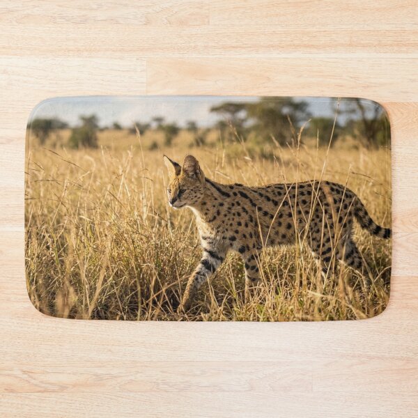 Item preview, Serval in the tall grass designed and sold by Malisa345.