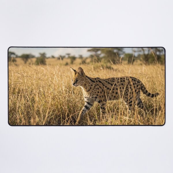 Item preview, Serval in the tall grass designed and sold by Malisa345.