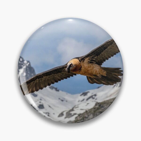 Item preview, Bearded vulture in flight designed and sold by Malisa345.