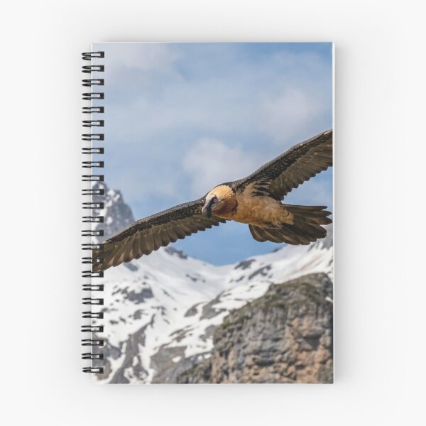 Item preview, Bearded vulture in flight designed and sold by Malisa345.