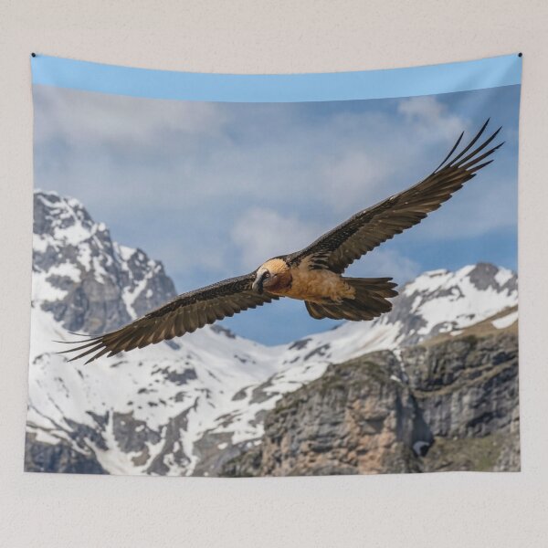 Item preview, Bearded vulture in flight designed and sold by Malisa345.