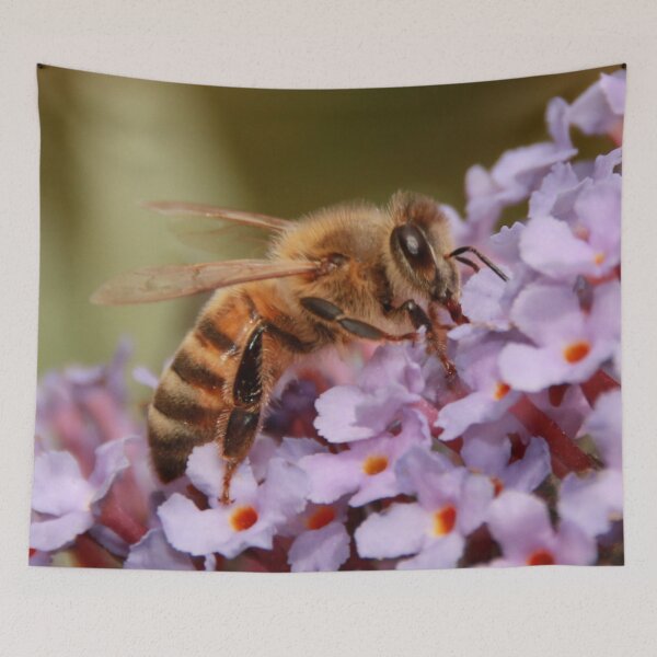 Item preview, BUSY Honey Bee on Budlea designed and sold by AnnDixon.