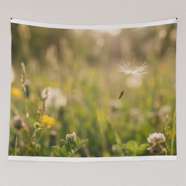 Item preview, Seed suspended in the air designed and sold by Malisa345.
