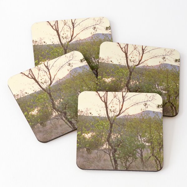 Item preview, Sunset over Mokolodi Nature Reserve in Botswana designed and sold by JaneFlowersAfrica.