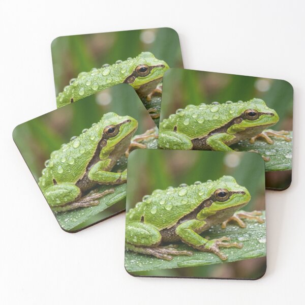 Item preview, Frog with water drops designed and sold by Malisa345.