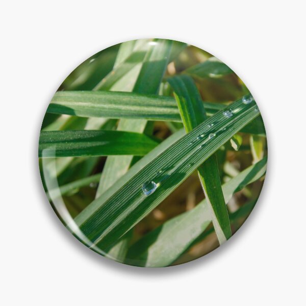 Item preview, Garden Macro - Dew Drops on Textured Grass designed and sold by ShotsbyDesiree.