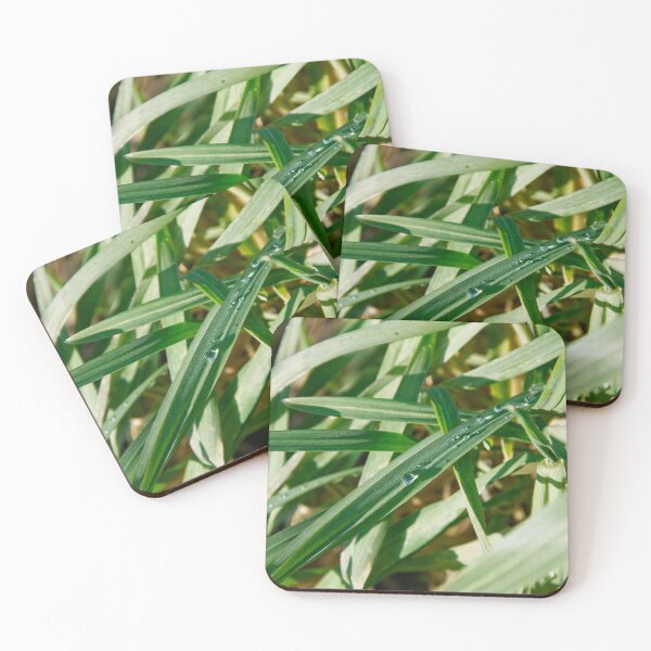 Item preview, Garden Macro - Dew Drops on Textured Grass designed and sold by ShotsbyDesiree.