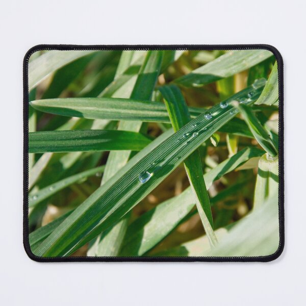 Item preview, Garden Macro - Dew Drops on Textured Grass designed and sold by ShotsbyDesiree.