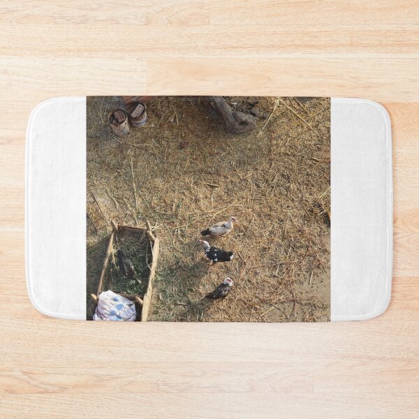 Item preview, Ducks looking at the camera while playing designed and sold by nagyphotography.