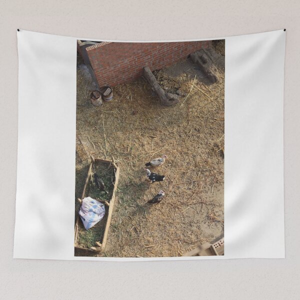 Item preview, Ducks looking at the camera while playing designed and sold by nagyphotography.
